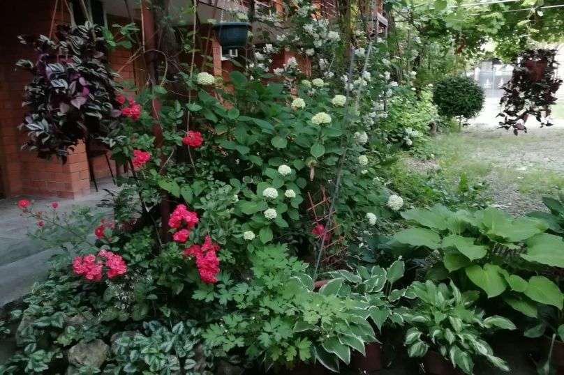 Фотогалерея